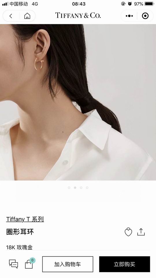 Tiffany earring lyh09 (6)