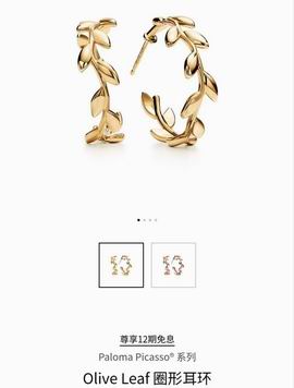 Tiffany earring lyh21 (7)