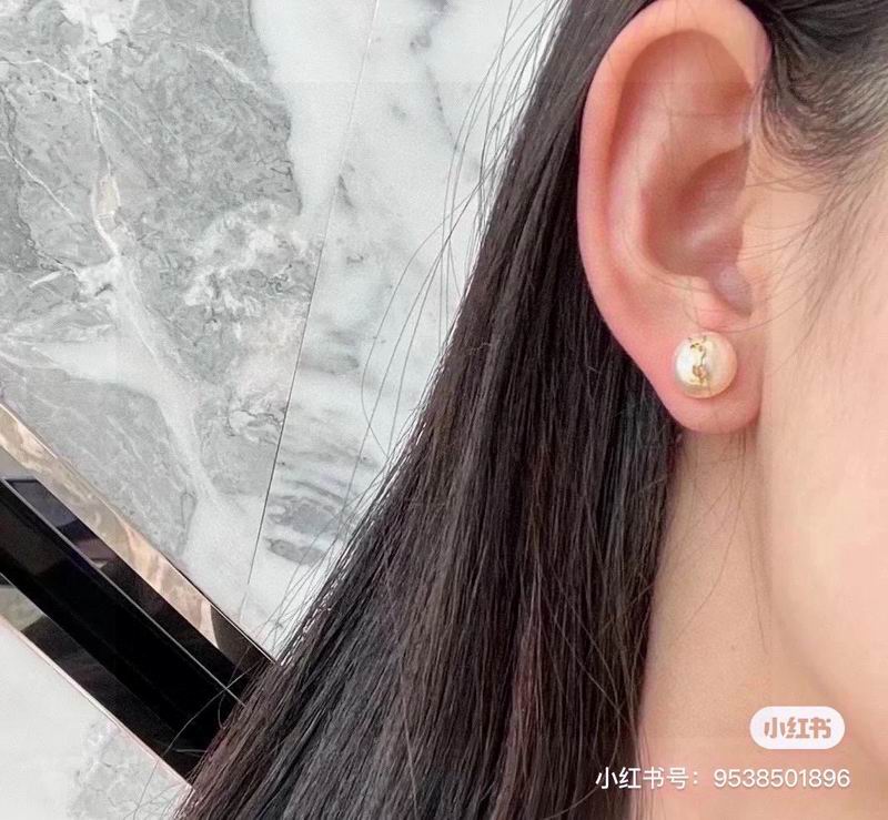 YSL Earrings 12lyr139 (5)
