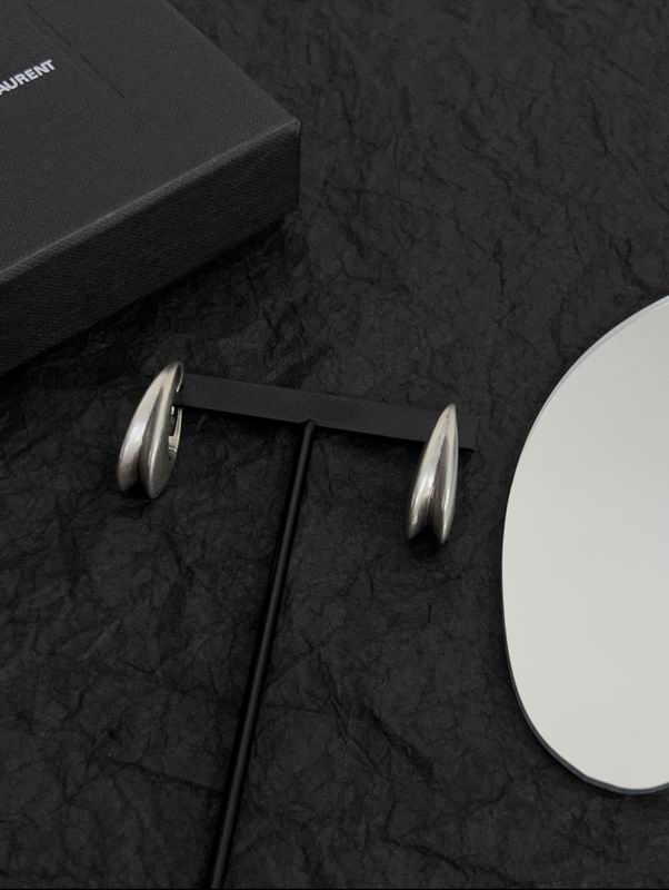 YSL Earrings 12lyr144 (2)