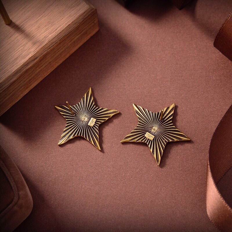 YSL Earrings 12lyr154 (3)
