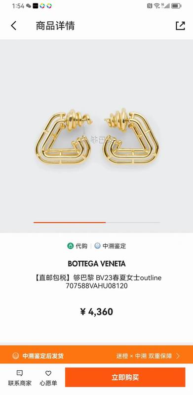 BV Earring 06lyx207 (6)