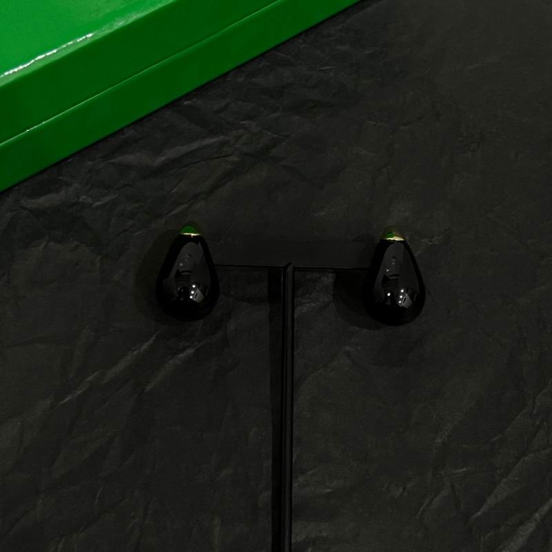 BV Earring 06lyx213 (4)