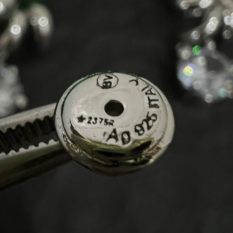 BV Earring 06lyx219 (6)