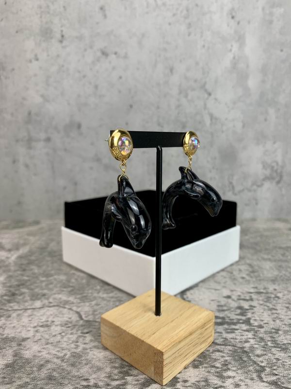 Balenciaga Earring 05lyr170 (5)