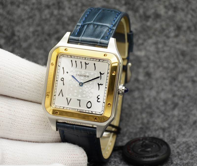 Cartier 35X46mm 31.5X43.5mm 05 (12)