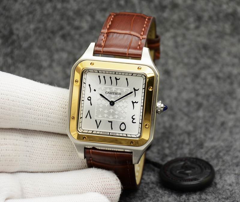 Cartier 35X46mm 31.5X43.5mm 05 (15)