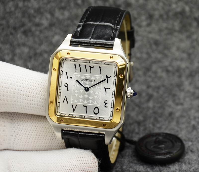 Cartier 35X46mm 31.5X43.5mm 05 (16)