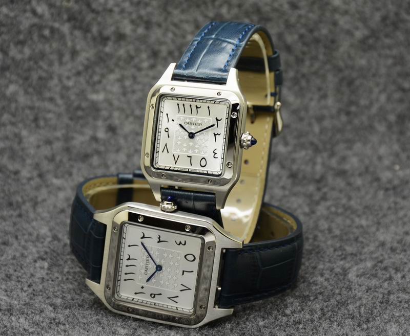 Cartier 35X46mm 31.5X43.5mm 05 (19)