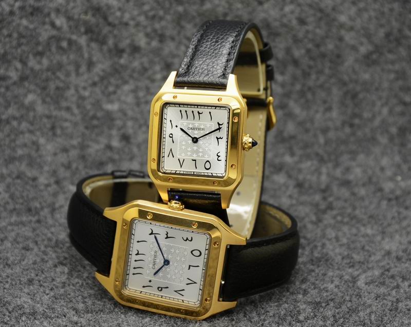 Cartier 35X46mm 31.5X43.5mm 05 (22)