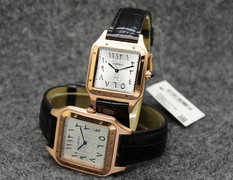 Cartier 35X46mm 31.5X43.5mm 05 (24)