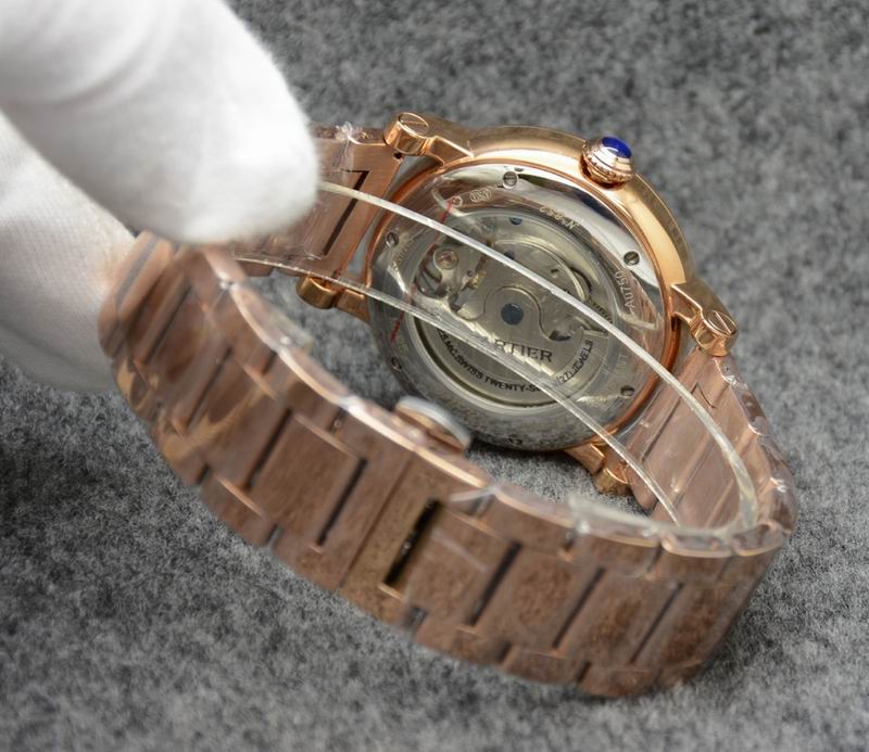 Cartier 43.5X14.5mm 02 (2)