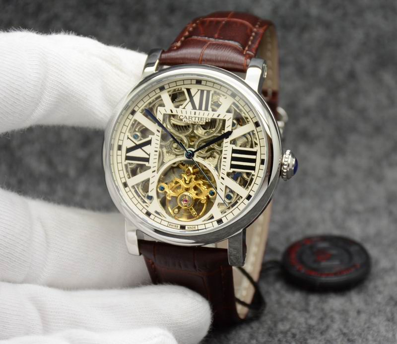 Cartier 43.5X14.5mm 02 (3)