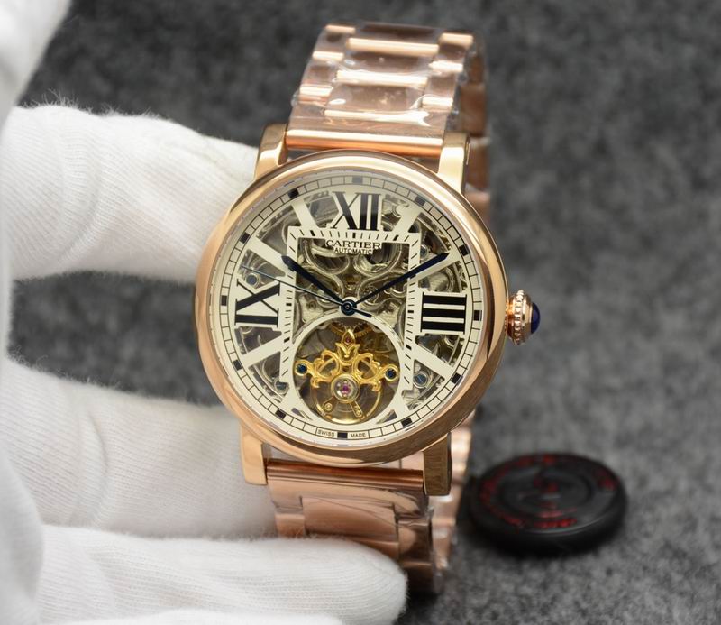 Cartier 43.5X14.5mm 02 (8)