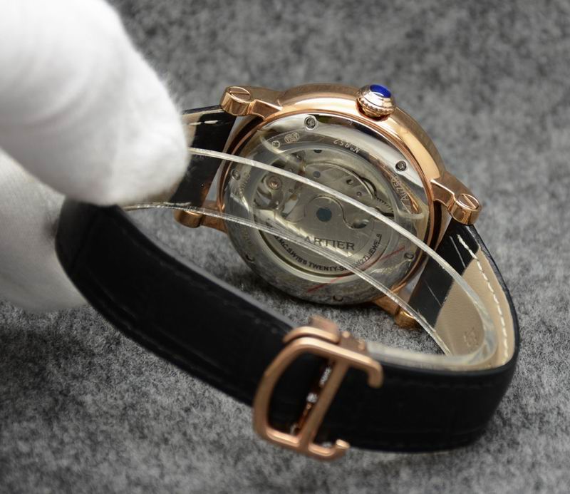 Cartier 43.5X14.5mm 03 (1)