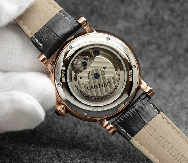 Cartier 43.5X14.5mm 04 (12)