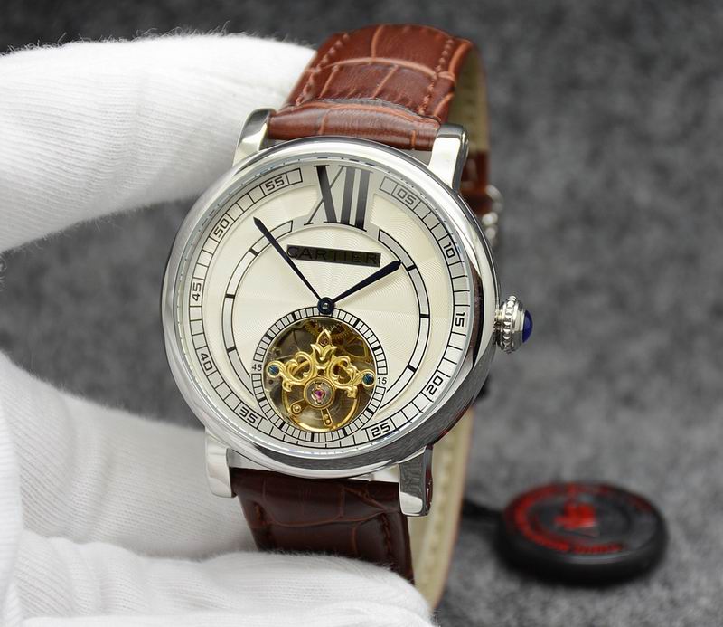 Cartier 43.5X14.5mm 04 (16)