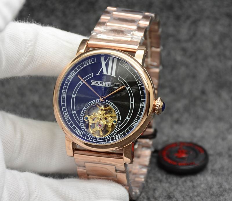 Cartier 43.5X14.5mm 04 (3)