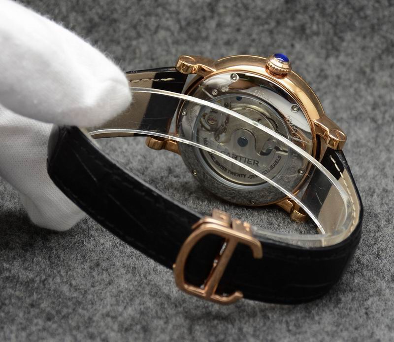 Cartier 43.5X14.5mm 05 (4)