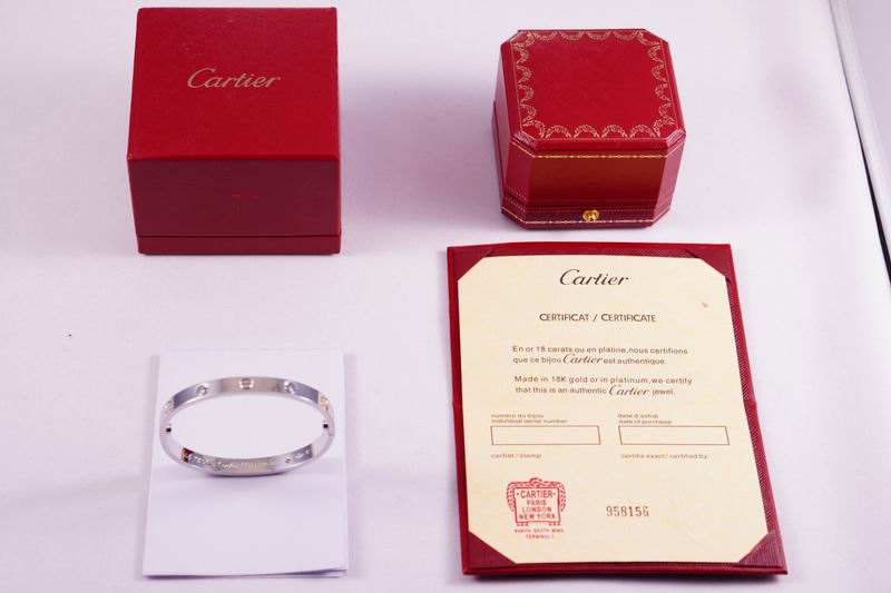 Cartier bracelet 03lyx62 (1)