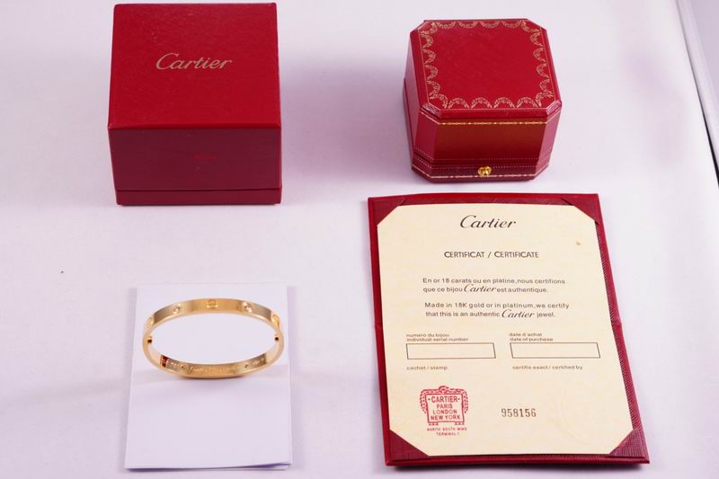 Cartier bracelet 03lyx62 (10)