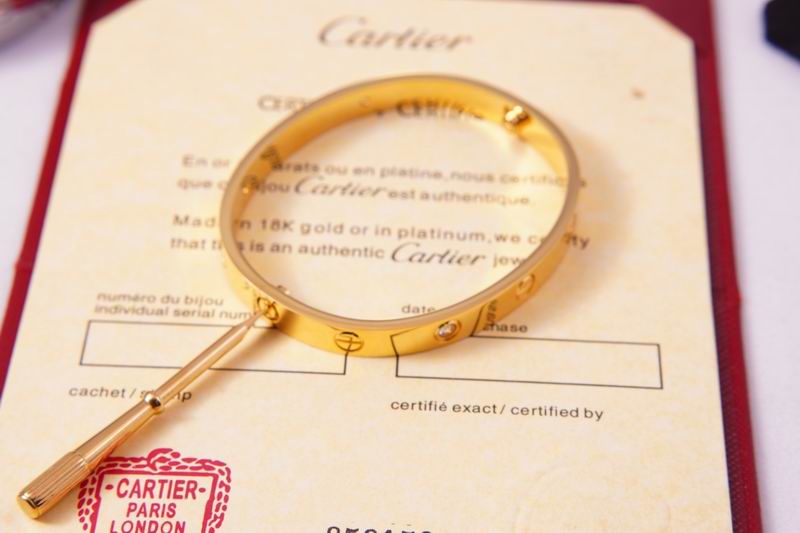 Cartier bracelet 03lyx62 (14)