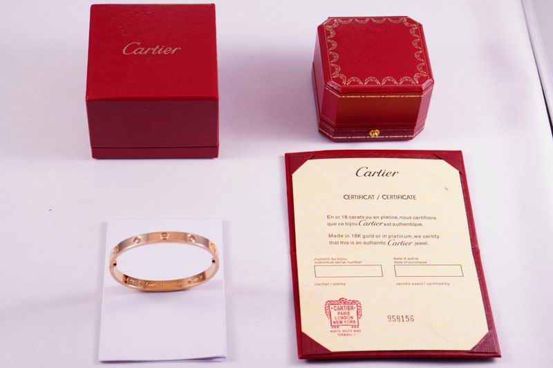 Cartier bracelet 03lyx62 (19)