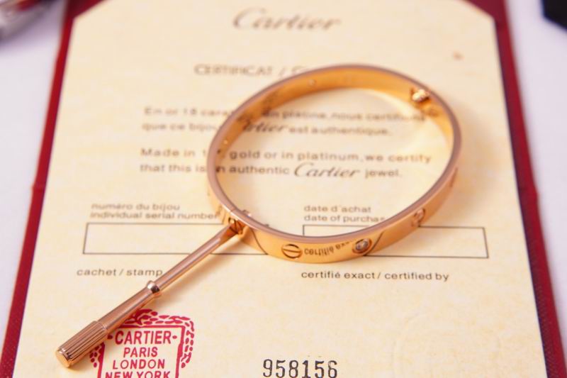 Cartier bracelet 03lyx62 (22)