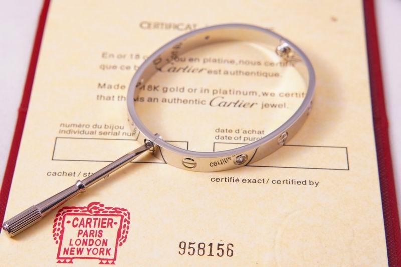 Cartier bracelet 03lyx62 (4)