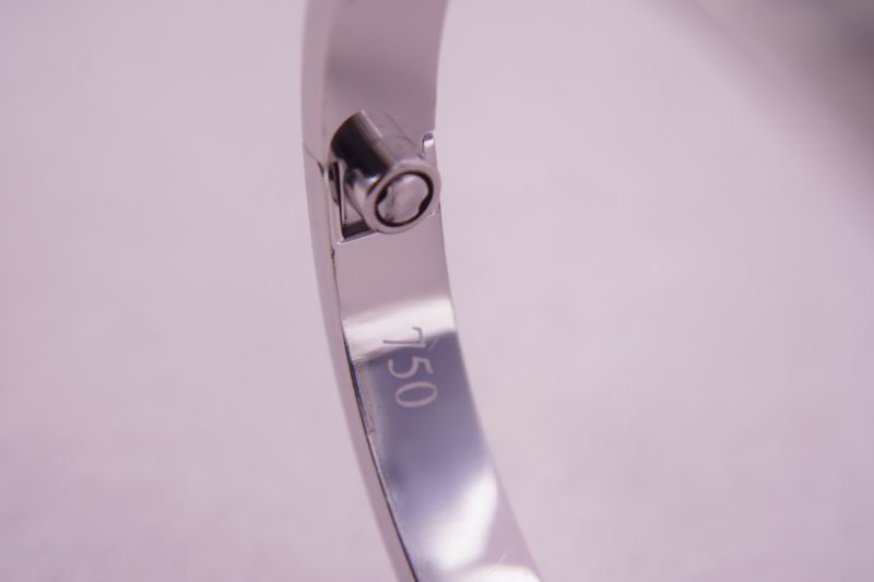 Cartier bracelet 03lyx62 (7)