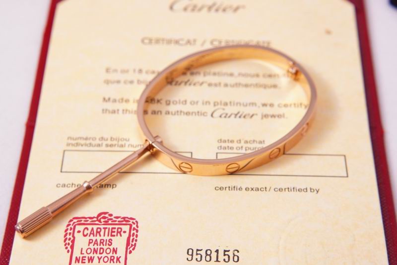 Cartier bracelet 03lyx63 (13)