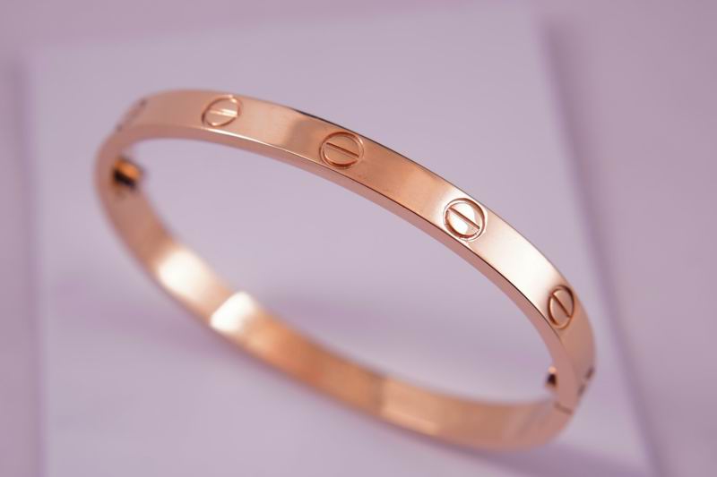 Cartier bracelet 03lyx63 (14)