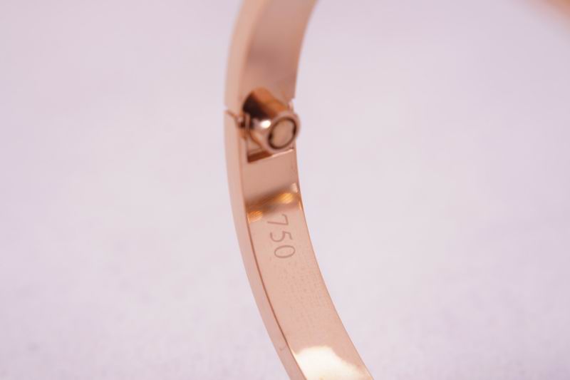 Cartier bracelet 03lyx63 (16)
