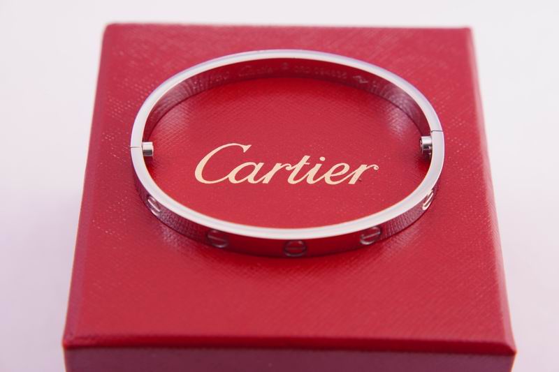 Cartier bracelet 03lyx63 (2)