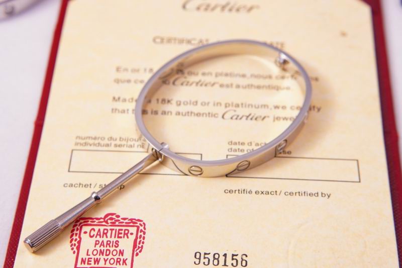 Cartier bracelet 03lyx63 (4)