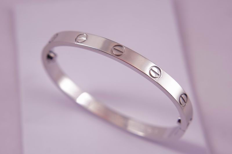 Cartier bracelet 03lyx63 (5)