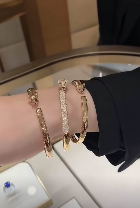 Cartier bracelet 03lyx64 (3)