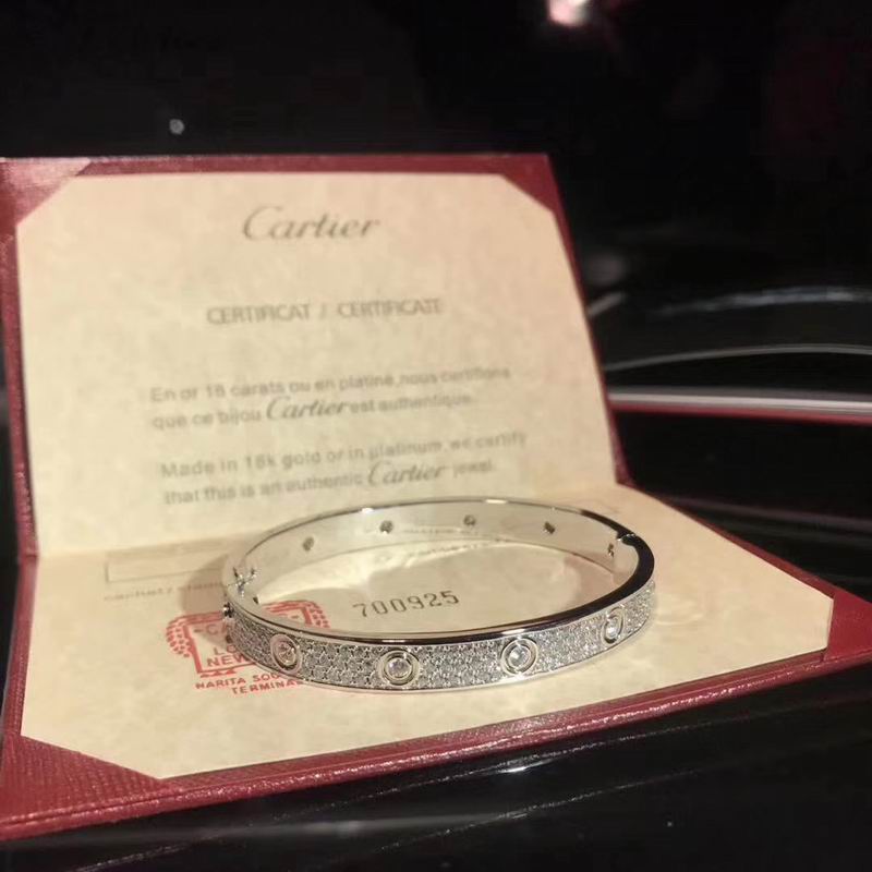 Cartier bracelet 03lyx91 (5)