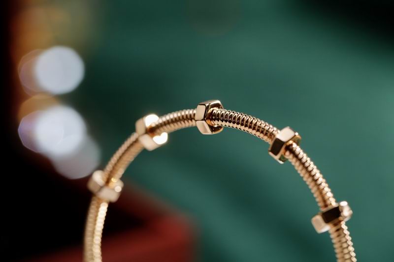Cartier bracelet 04lyx111 (4)