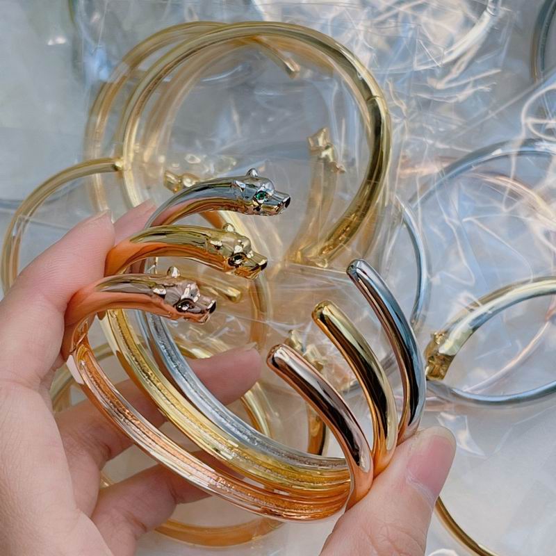 Cartier bracelet 04lyx127 (5)