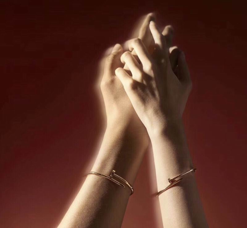 Cartier bracelet 04lyx130 (6)