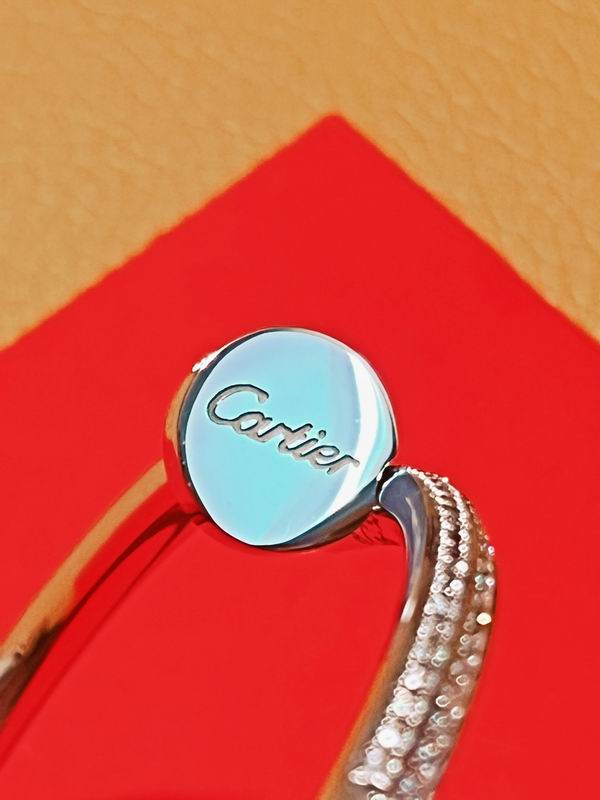 Cartier bracelet 05lyx134 (18)