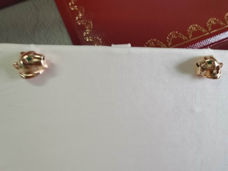 Cartier earring 03lyx24 (8)