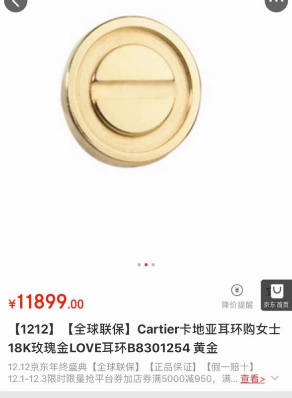 Cartier earring 03lyx28 (7)