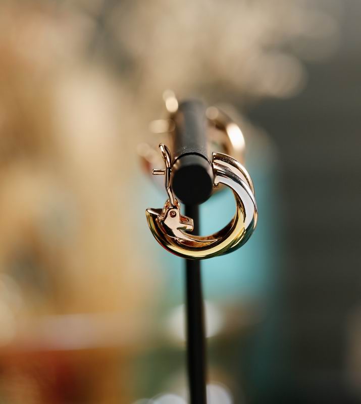 Cartier earring 04lyx45 (5)