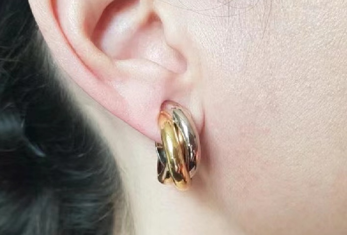 Cartier earring 05lyx75 (5)