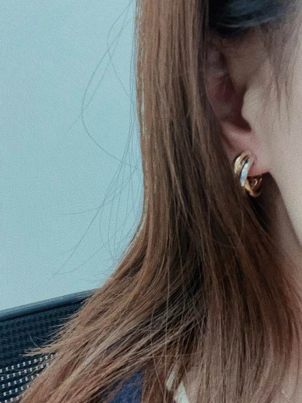 Cartier earring 05lyx75 (6)