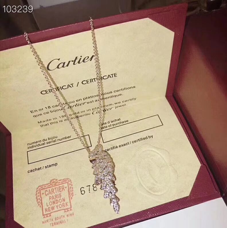 Cartier necklace 03lyx65 (9)