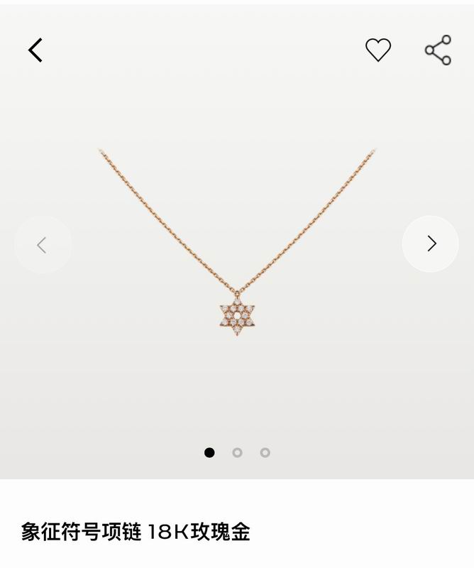 Cartier necklace 04lyx109 (9)