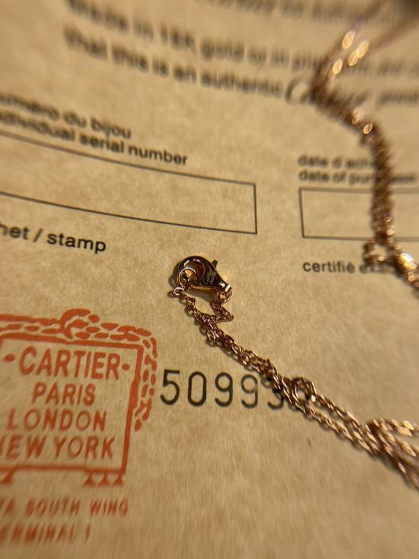 Cartier necklace 05lyx120 (4)